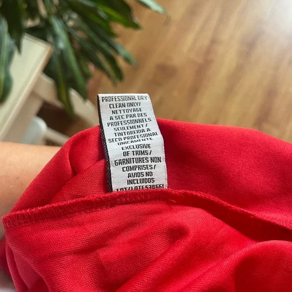 JS Collections Pink Ruffled Maxi Gown - Picture 15 of 15